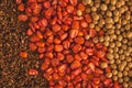 Corn, soybean and sorghum sudan grass seed Royalty Free Stock Photo