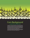 Corn Stalks Field