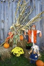 Corn Stalks and scarecrows decorate the side of a country barn.