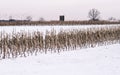 Corn Stalks and Silo Coated in Snow