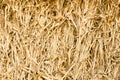 Corn straw Royalty Free Stock Photo