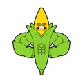 Corn Strong Cool serious. maize powerful strict. Cereals Vector illustration Royalty Free Stock Photo
