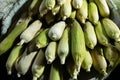 Corn with skin Royalty Free Stock Photo