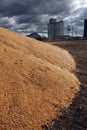 Corn Surplus and Elevator Royalty Free Stock Photo