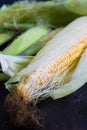 Corn, sweet, yellow, harvest, food, fresh, agriculture, cereal, organic