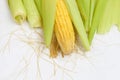 Corn with with tender-green shell. Royalty Free Stock Photo