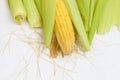 Corn with with tender-green shell.