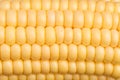 Corn Texture Background