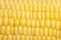 Corn texture closeup