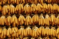Corn Texture Royalty Free Stock Photo