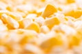 Corn texture. Yellow corns as background Royalty Free Stock Photo