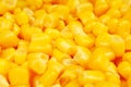 Corn texture. Yellow corns as background. Corn vegetable pattern. Background of bulk of yellow corn grains. Shiny corns. Royalty Free Stock Photo