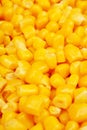 Corn texture. Yellow corns as background. Corn vegetable pattern. Shiny yellow corn grains. Royalty Free Stock Photo