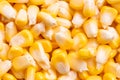 Corn texture. Yellow corns as background. Royalty Free Stock Photo