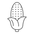 Corn thin line icon, corncob and vegetable, plant sign, vector graphics, a linear pattern on a white background.