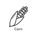 Corn thin line icon. Isolated maize vegetables linear style for menu, label, logo. Simple vegetarian food sign.