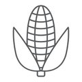 Corn thin line icon, vegetable and diet, maize