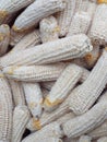 corn on top of a pile of dried corn cobs