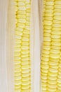 Corn Royalty Free Stock Photo