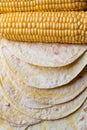 Corn tortillas Royalty Free Stock Photo