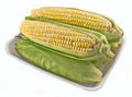 Corn in the Tray Royalty Free Stock Photo