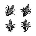Corn vector silhouette art illustration icon set Royalty Free Stock Photo