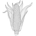 Corn. Vegetable.Coloring book antistress for children and adults.Zen-tangle style