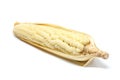 Corn white background closeup detail Royalty Free Stock Photo