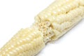 Corn white background closeup detail Royalty Free Stock Photo