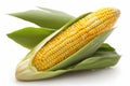 Corn On A White Background. Generative AI Royalty Free Stock Photo