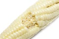 Corn white background detail Royalty Free Stock Photo