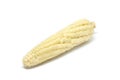 Corn white background detail isolated Royalty Free Stock Photo