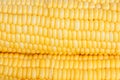 Corn on white background