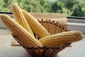 Corn in wooden basket on a window overlooking the garden in the village