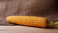 Corn on wooden. Maize with burlap