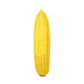 corn yellow cartoon vector illustration Royalty Free Stock Photo