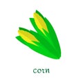 Corn yellow flat icon food natural illustration organic logo vector