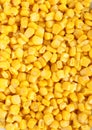 Corn yellow macro