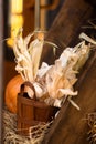 Corn. Young woman farmer picking corn harvest. Worker holding autumn corncobs. Farming and gardening. Background and texture of Royalty Free Stock Photo