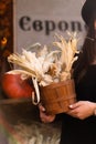 Corn. Young woman farmer picking corn harvest. Worker holding autumn corncobs. Farming and gardening. Background and texture of Royalty Free Stock Photo