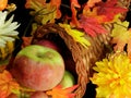 Cornacopia fall season apples colorful leaves Royalty Free Stock Photo