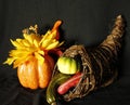 Cornacopia .. fall vegetables, pumpkin, gourds, Royalty Free Stock Photo