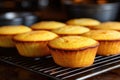 cornbread muffins fresh out of the oven