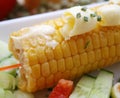 Corncob