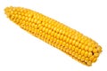 Corncob closeup.