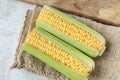 Corncob Royalty Free Stock Photo