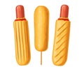 Corndog and hotdog with ketchup, mustard. Vector color realistic illustration.