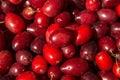 Cornelian cherries at the farmers market Royalty Free Stock Photo