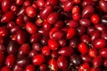 Cornelian cherries at the farmers market, close up Royalty Free Stock Photo