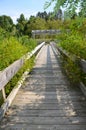 Cornell Botanic Gardens, Houston Pond boardwalk